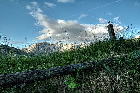 wood, landscape, mountains, nature thumbnail