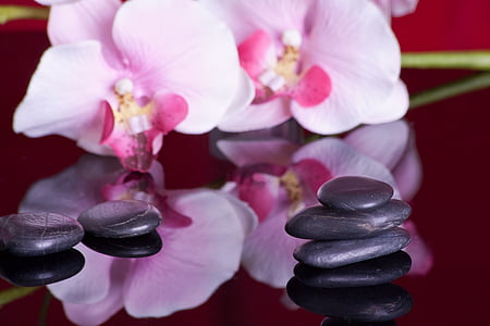 stack of black pebbles thumbnail