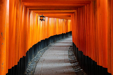 pathway underneath tori gates thumbnail