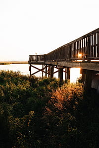 brown wooden dock on body of water during golden hour thumbnail