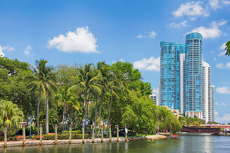 body of water beside palm tree near highrise building thumbnail