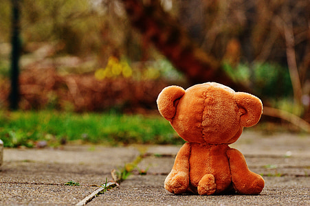 shallow focus photography of brown bear plush toy thumbnail