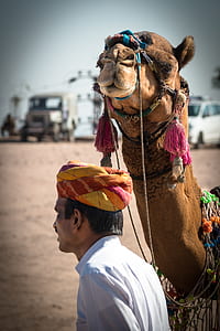 man standing next to camel thumbnail