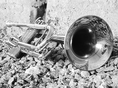 grayscale photography of trumpet thumbnail
