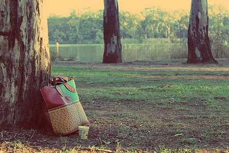 red,green and yellow leather tote bag on brown tree log thumbnail