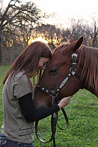 woman in gray crew-neck shirt holding brown horse thumbnail