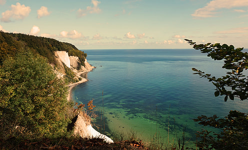green trees near sea during day time thumbnail