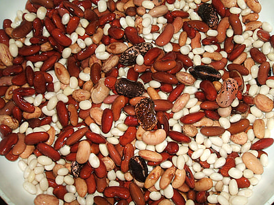 Different Colored Beans thumbnail