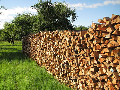 pile of firewood on grass field near trees during daytime photo thumbnail