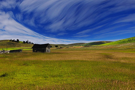 black and white barn house on grass field thumbnail