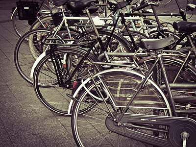 bicycles parked on parking lot thumbnail