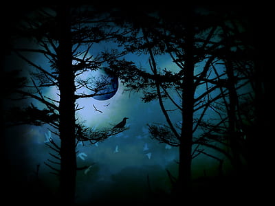 silhouette photo of trees thumbnail