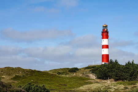 lighthouse beside trees with cloudy sky thumbnail
