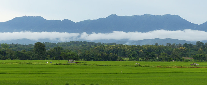 green grass meadow across mountain during daytime thumbnail