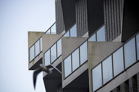 macrophotography of building thumbnail