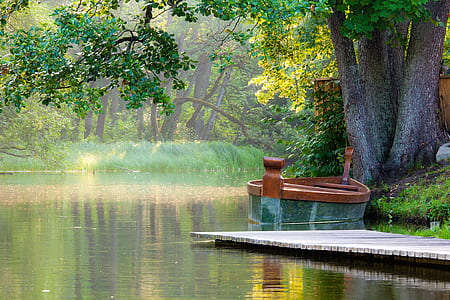brown boat near green leafed tree thumbnail