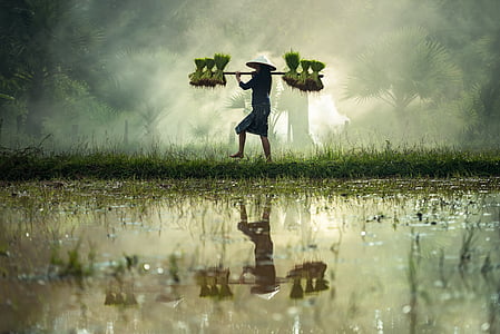 man standing on grass during daytime thumbnail