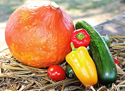 yellow bell pepper beside cucumber thumbnail