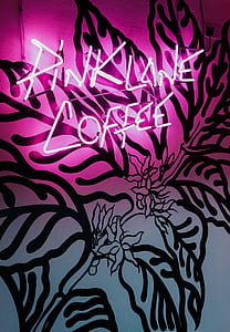 lights, pink, neon, sign thumbnail
