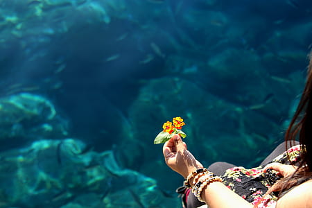 person holding yellow flowers thumbnail