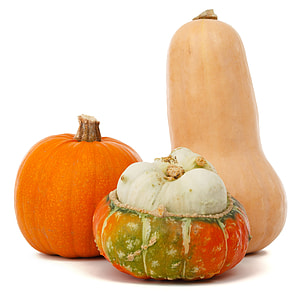 garlic, pumpkin, and bottle gourd thumbnail