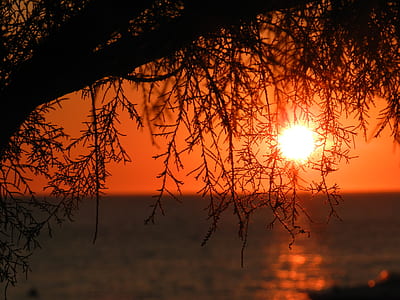 calm body of water under golden hour thumbnail