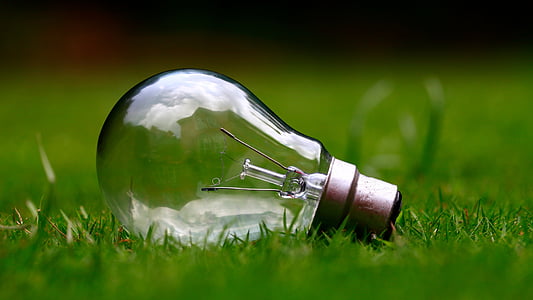 light bulb on grass field during daytime thumbnail