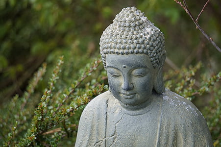 selective focus photography of buddha statue thumbnail