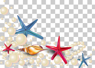 Oyster Seashell Pearl Euclidean , Summer Beach starfish pearl shell, pearl and starfish PNG clipart
