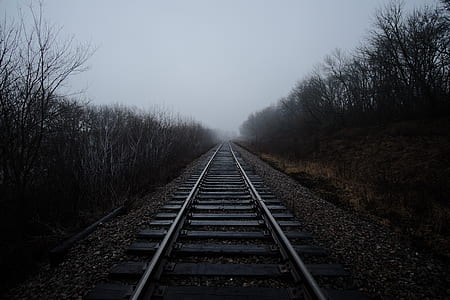 gray trail rails in between trees thumbnail