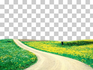 Beauty Spring Nature , Nature , brown pathway between green grass PNG clipart