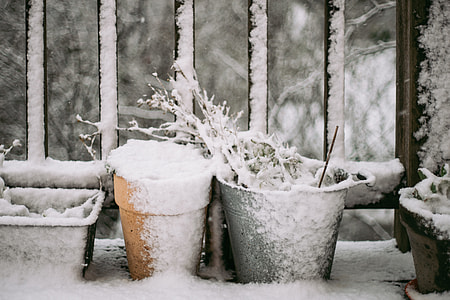 The first snow thumbnail