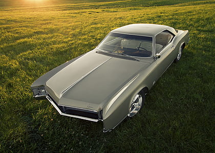 classic gray coupe parked on green grass field during sunset thumbnail