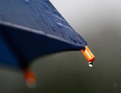 selective focus photography of water dew thumbnail
