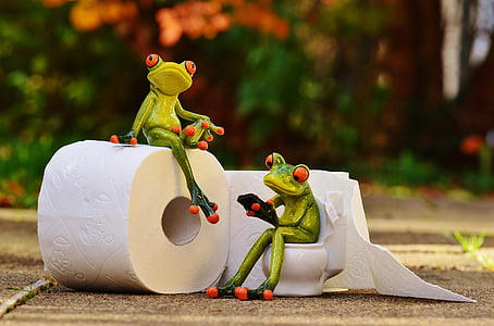 frogs sitting on toilet bowl figurine thumbnail