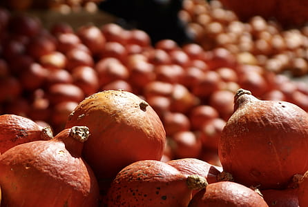 orange fruits thumbnail