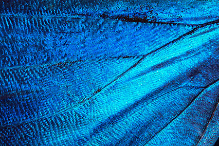 blue textile thumbnail