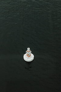 white floater on sea thumbnail