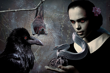 woman, bat, snake, crow, and spider illustration thumbnail