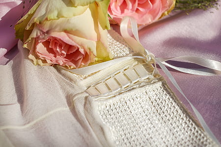 pink rose flower beside white garment thumbnail