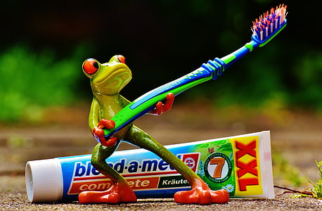 green frog figurine holding toothbrush at daytime thumbnail