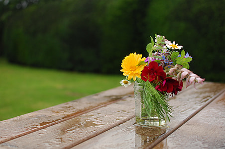 selective photography of variety of flowers thumbnail