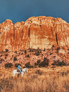 man riding white horse thumbnail