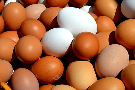 closeup photo of stack of orange and white eggs thumbnail