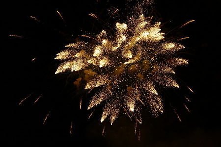 brown fire cracker thumbnail