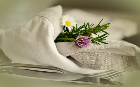 closeup photography of white daisy flower covered with white towel thumbnail