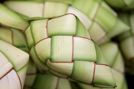 white and green leaf thumbnail