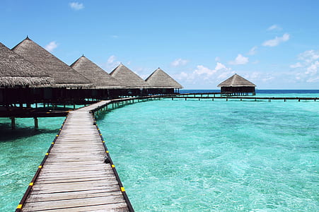 holiday, vacation, water, summer thumbnail