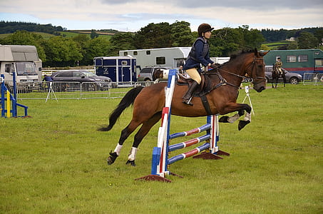 person riding a horse thumbnail