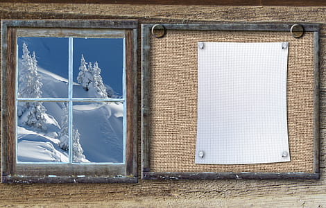 snow covered trees through a clear glass window thumbnail